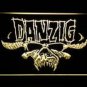 Danzig LED Neon Sign Beer Luminous Display Glowing