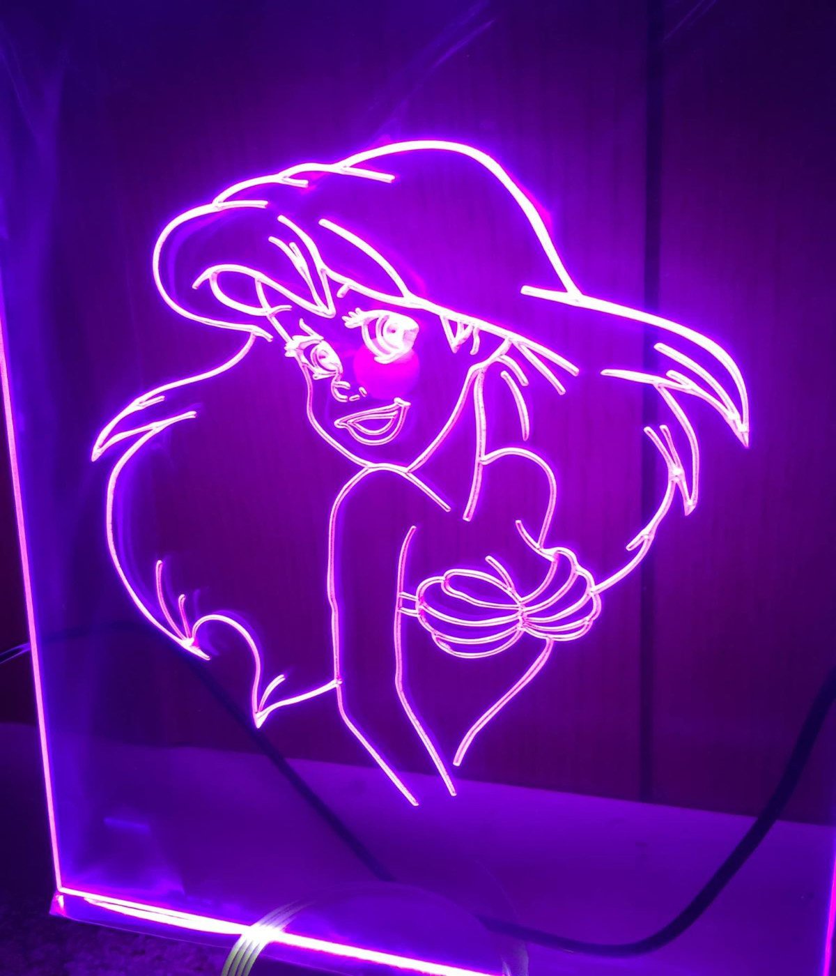 Princess Led Neon Sign home decor craft display glowing