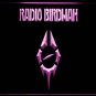 Radio Birdman LED Neon Sign home decor crafts display glowing