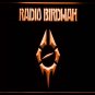 Radio Birdman LED Neon Sign home decor crafts display glowing