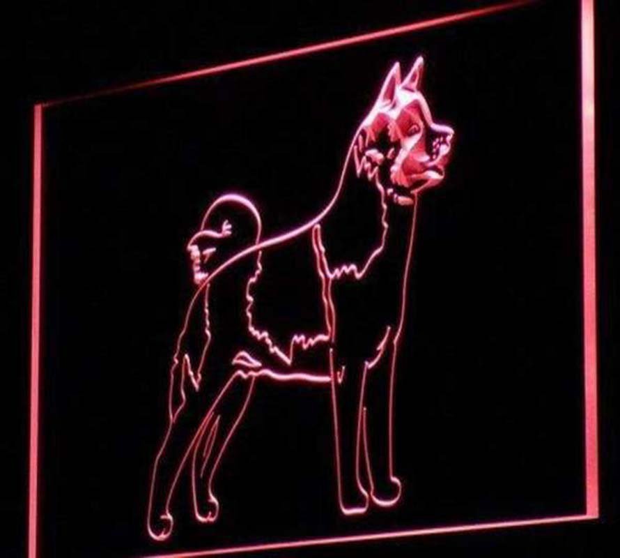 Akita Dog LED Neon Light Sign