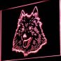 American Eskimo Dog LED Neon Sign Home Decoration Craft