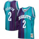 Charlotte Hornets #2 Larry Johnson TealPurple 1992-93 Mitchell & Ness Swingman Stitched Jersey