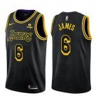 Youth Los Angeles Lakers #6 LeBron James Black Stitched Basketball Jersey