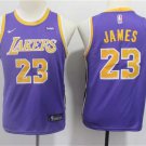Youth Los Angeles Lakers LeBron James Purple Kids Basketball Jersey Embroidered