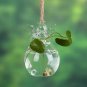 Clear Glass Angel Shape Flower Vase Cute Glass Hanging Vase Floral Plant Pots Terrarium