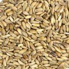 Organic Milk Thistle - 4 Oz