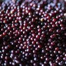 Organic Elderberry Kit - Double Batch
