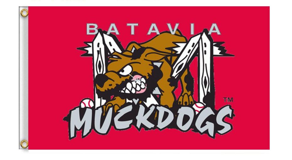 MiLB Batavia Muckdogs Flag 3*5ft (90cm*150cm) Polyester flag Banner