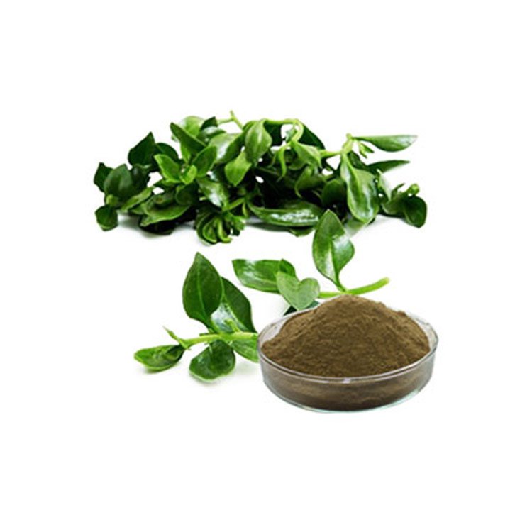 Contact Me Get Price High quality Andrographis Paniculata Extract /Andrographolide 20% 30% 50% 98%