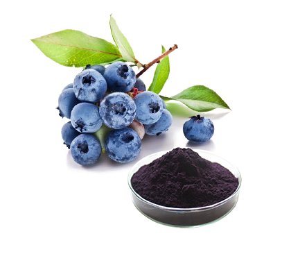 High quality Bluberry Extract