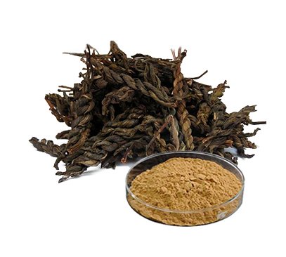 Top Quality Puer Tea Extract Powder 10:1 Tea Polyphenol 20%