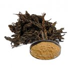 Top Quality Puer Tea Extract Powder 10:1 Tea Polyphenol 20%