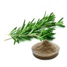 100% Natural Dried Rosemary Extract Rosmarinic Acid 2.5%~90% Low Price