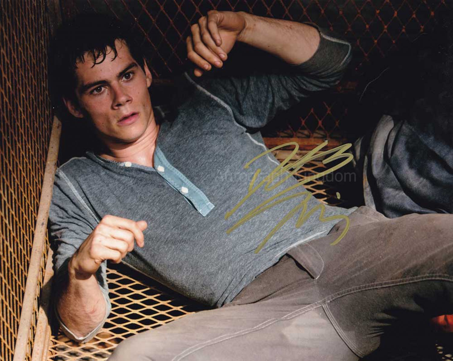 Dylan O'Brien (Teen Wolf/ The Maze Runner) 8 x 10" Autogr...