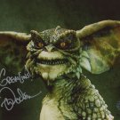 Mark Dobson Signed & Mounted 8 X 10" Autographed Photo Gremlins  (Reprint 2074) Great Gift Idea!