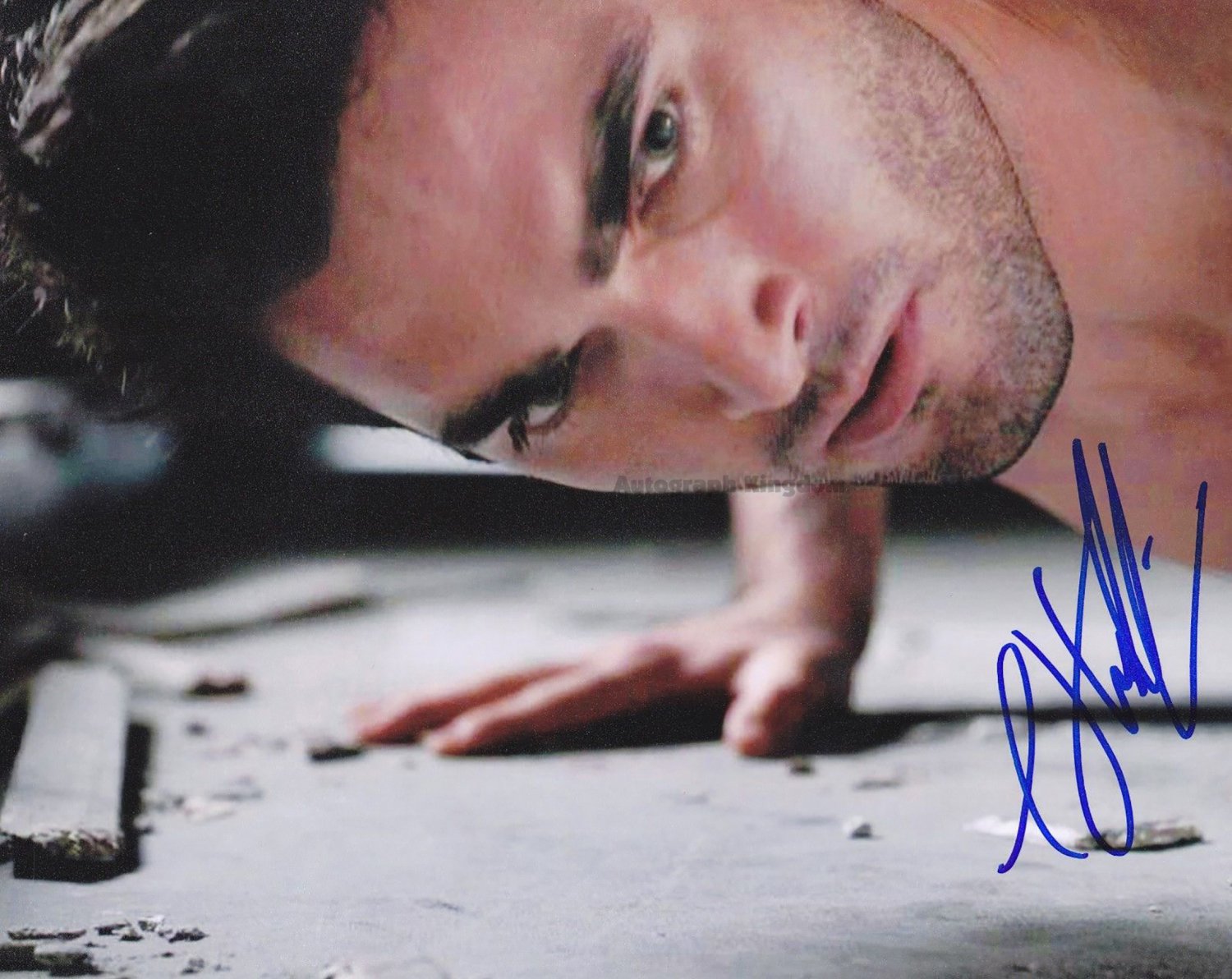 Tyler Hoechlin 8 x 10 Autographed Photo : Teen Wolf / Superman & Lois (Reprint 644 Great Gift Idea!)