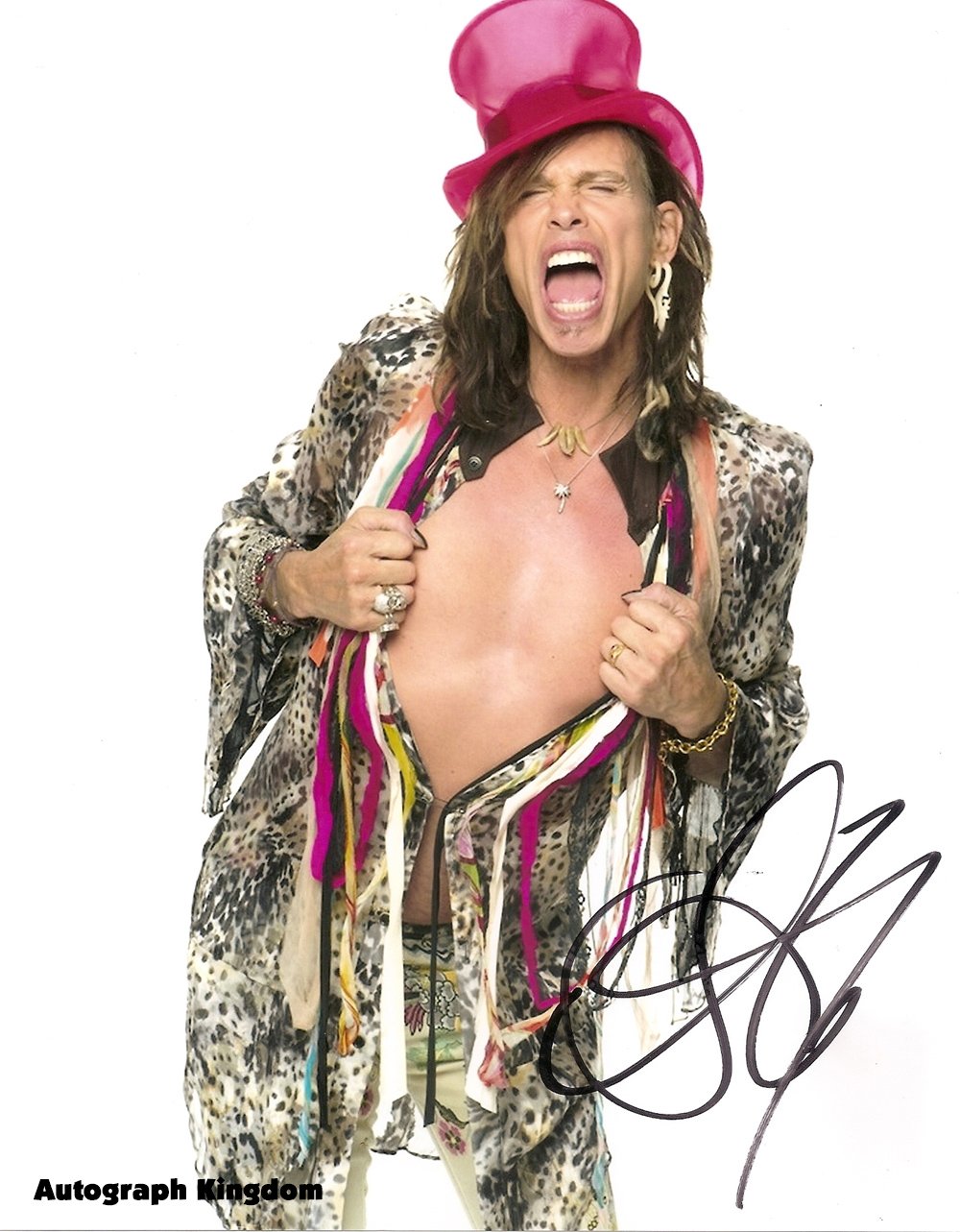 Aerosmith Steven Tyler 8 x 10 Autographed / Signed Photo (Reprint 650 Great Gift Idea!)