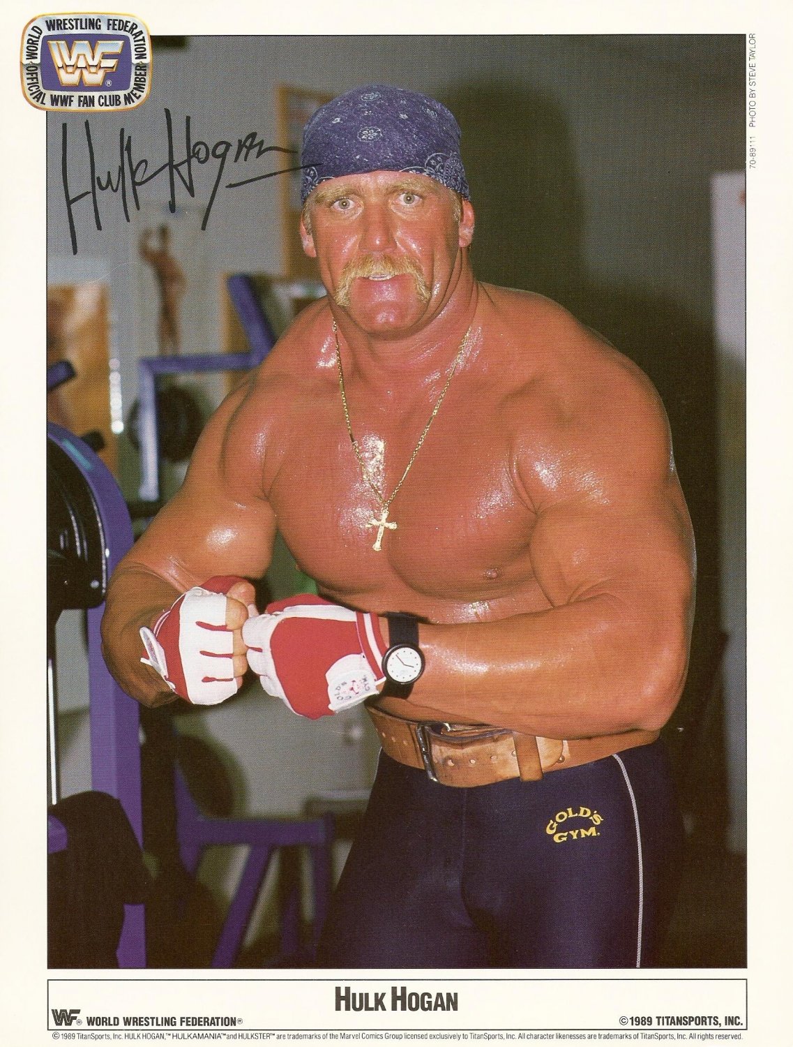 RARE WWF / WWE Hulk Hogan 8 x 10 Autographed / Signed Photo (Reprint)