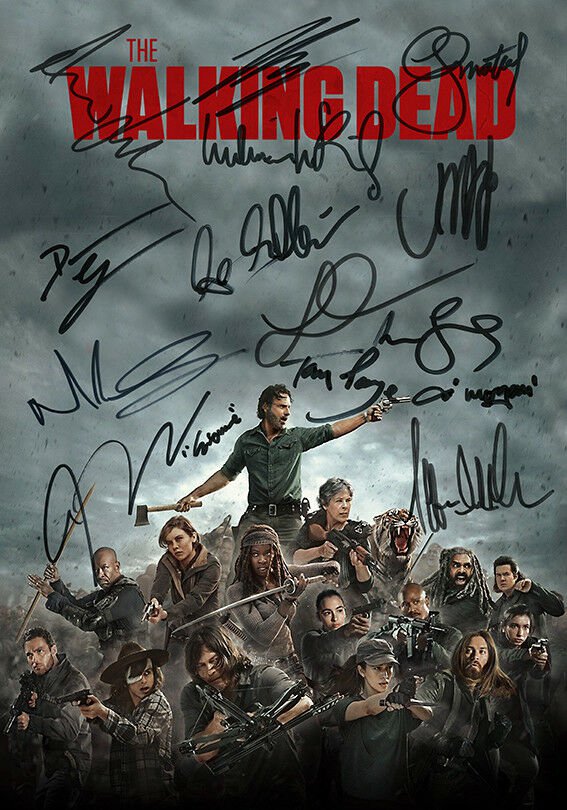 Signed & Mounted "The Walking Dead" Poster signed all Cast members (Reprint)