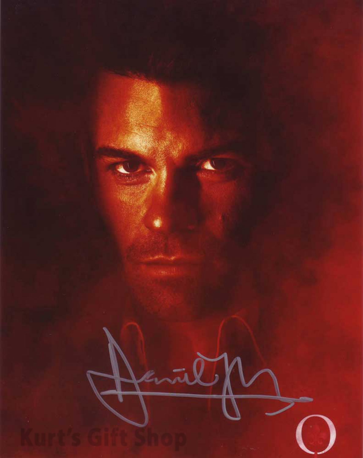 Signed & Mounted Daniel Gillies 8 x 10 Photo The Vampire Diaries / The Originals (Reprint 920)