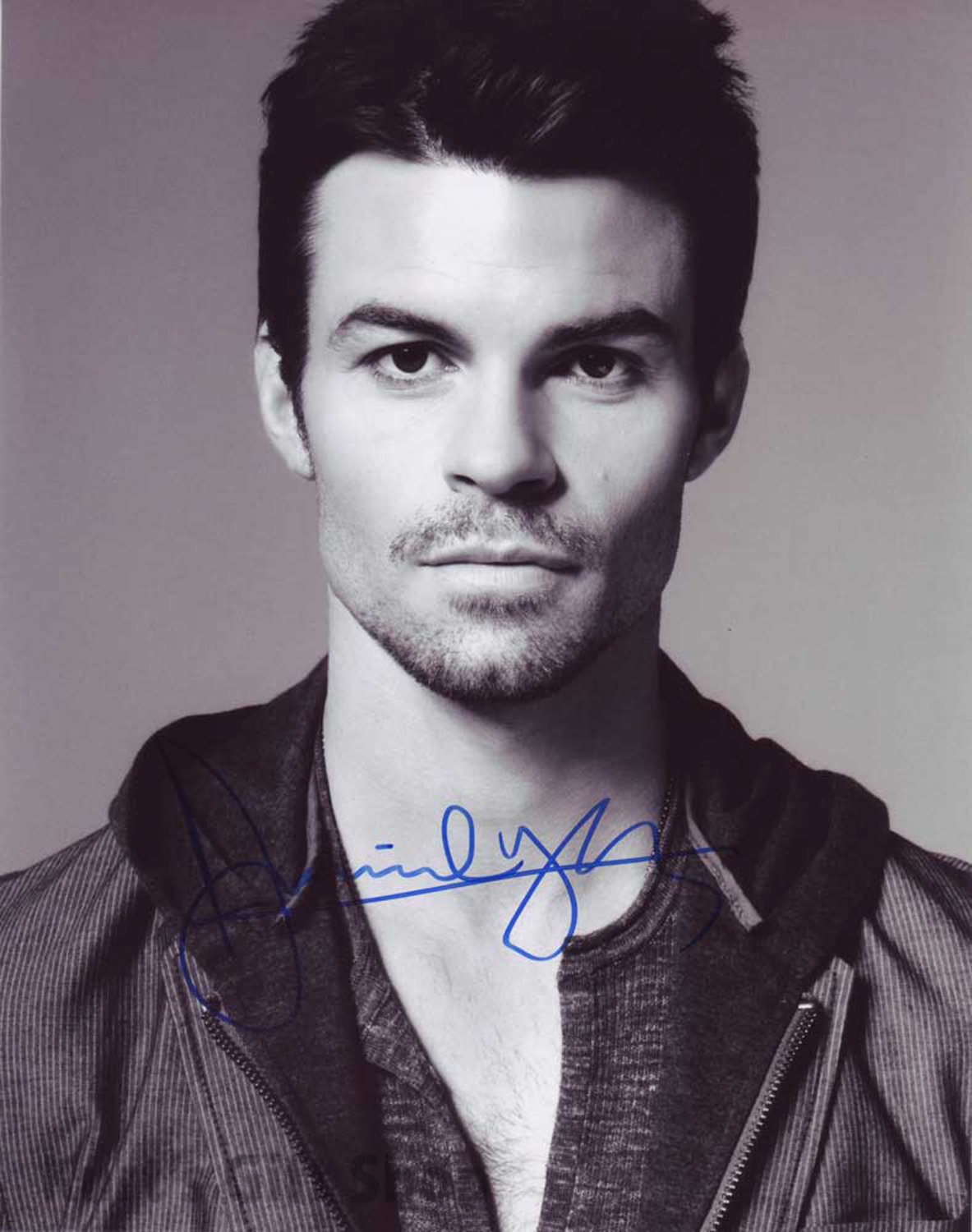 Daniel Gillies Signed & Mounted 8 x 10 Autographed Photo The Vampire Diaries (Reprint 914)