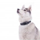 Pet GPS Collar
