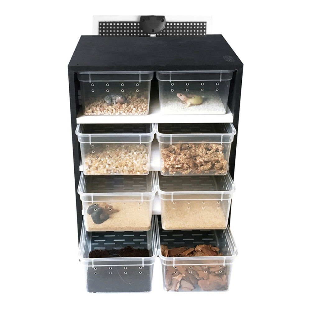 Breeding cabinet with hygrometer Acrylic Reptiles Insect Feeding+13W ...