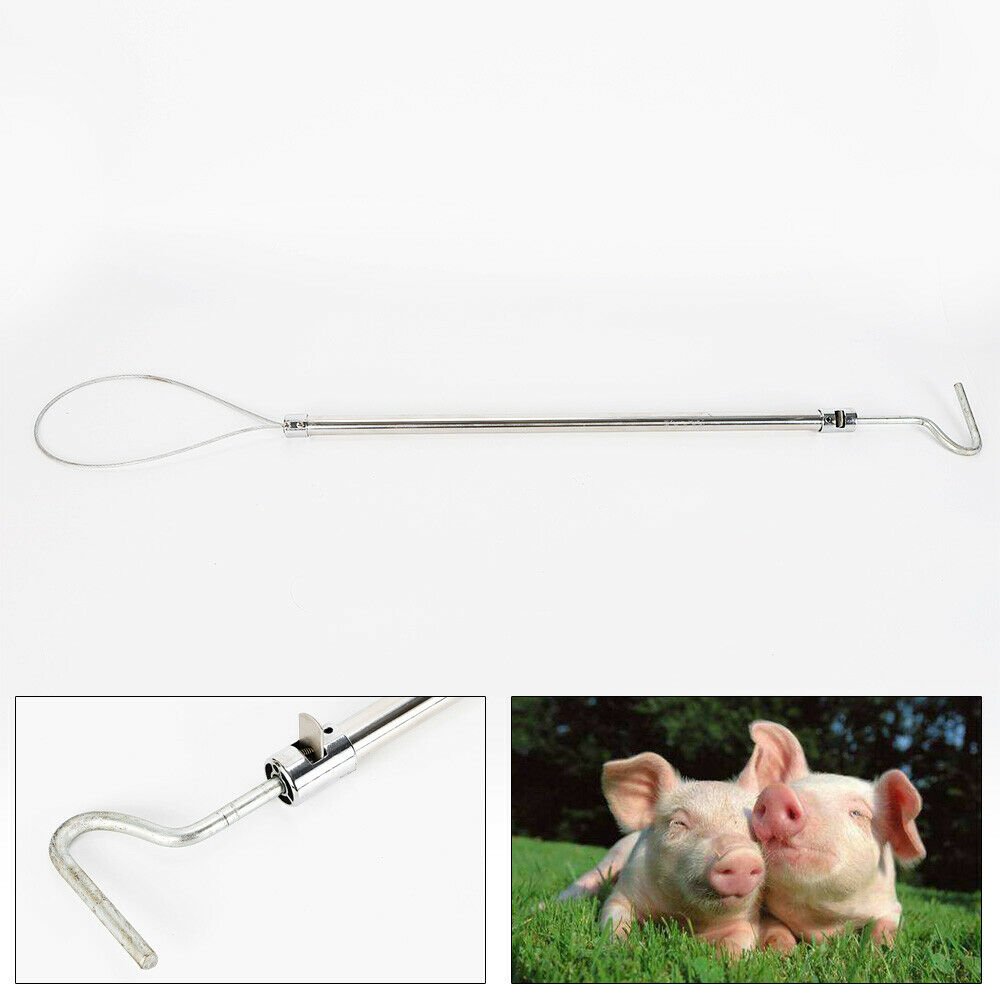 Pig Holder Pig Catcher Ergonomically Designed Baoding Switch Lock Design New