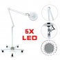 5x Diopter LED Magnifying Floor Stand Lamp Glass Lens Facial Magnifier 5 Wheel