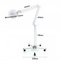 5x Diopter LED Magnifying Floor Stand Lamp Glass Lens Facial Magnifier 5 Wheel