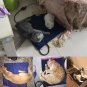 12V LED digital display Pet Heat Heated Heating Pad Mat Blanket Bed Dog Cat PVC