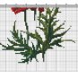 Cross stitch pattern PDF poppy, Cross stitch pattern PDF poppies, Cross stitch pattern PDF flowers