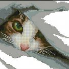 Cross stitch pattern PDF Cat,cat xstitch