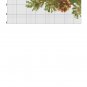 Cross stitch pattern PDF animals,squirrel xstitch