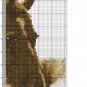 Cross stitch pattern PDF animals, horse xstitch