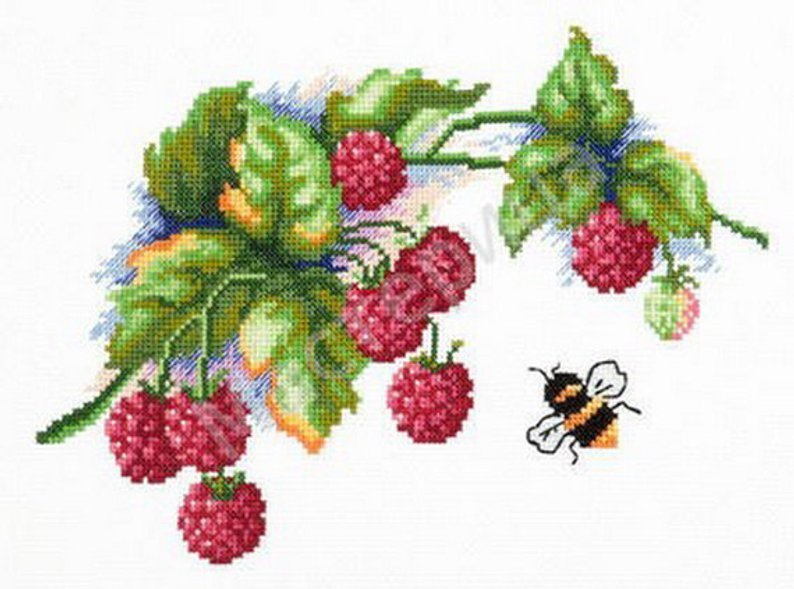 Cross stitch pattern PDF raspberries, bee xstitch