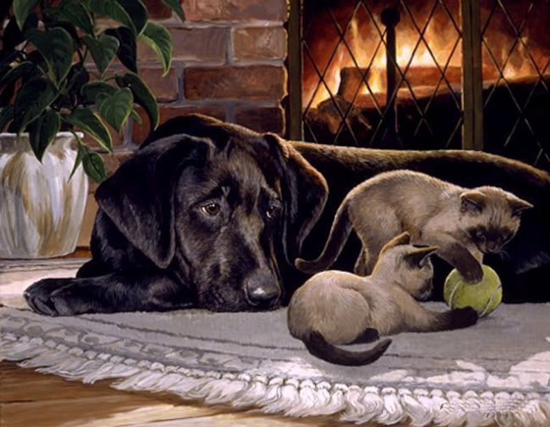 Cross stitch pattern PDF cat and dog, animals xstitch