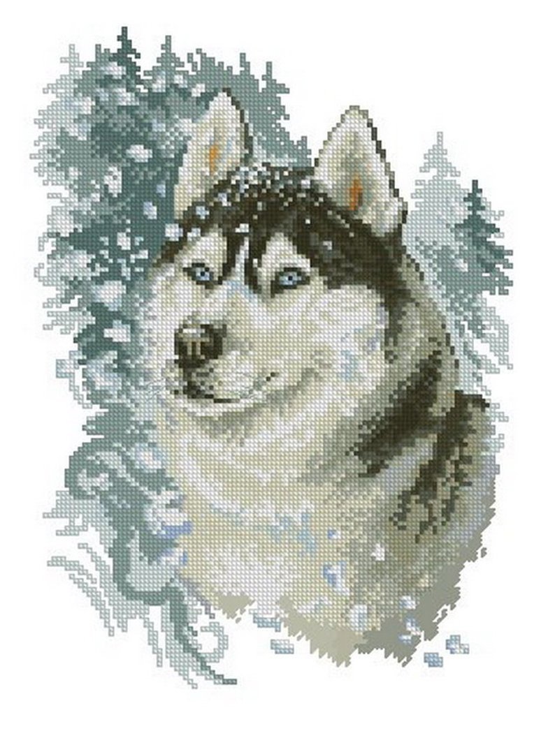 Cross stitch pattern PDF dog, husky xstitch