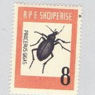 Albania 662 MNH Beetle 1963 CV 7.50 (BP74417)