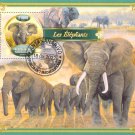 Madagascar 2022 CTO Sheet  Elephants animals 1 value (TS0041)