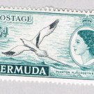 Bermuda 152 Unused Tropic Bird 1953 CV 5.00 (BP64214)