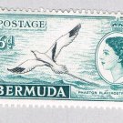 Bermuda 152 Unused Tropic Bird 1953 CV 5.00 (BP64220)