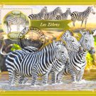 Madagascar 2022 Sheet  Zebras animals 1 value (TS0117)