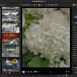 Corel AfterShot Pro 3 Key Digital Delivery