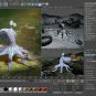 MAXON CINEMA 4D Studio 22 Windows Lifetime Region Free Multilanguage Digital Delivery