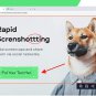 Movavi Screen Recorder Release 2021 Win Web Video Calls Lifetime Fast eDelivery