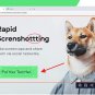 Movavi Screen Recorder Release 2021 MAC Web Video Calls Lifetime Fast eDelivery