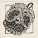 Vintage Crochet Pattern : Pansy Potholder (1920s)