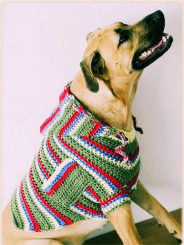 Vintage Crochet Pattern :  70s Style Dog Hoodie
